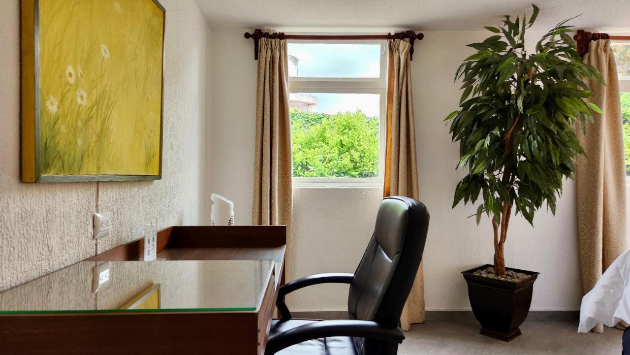 Casa Tamayo مدينة مكسيكو المظهر الخارجي الصورة