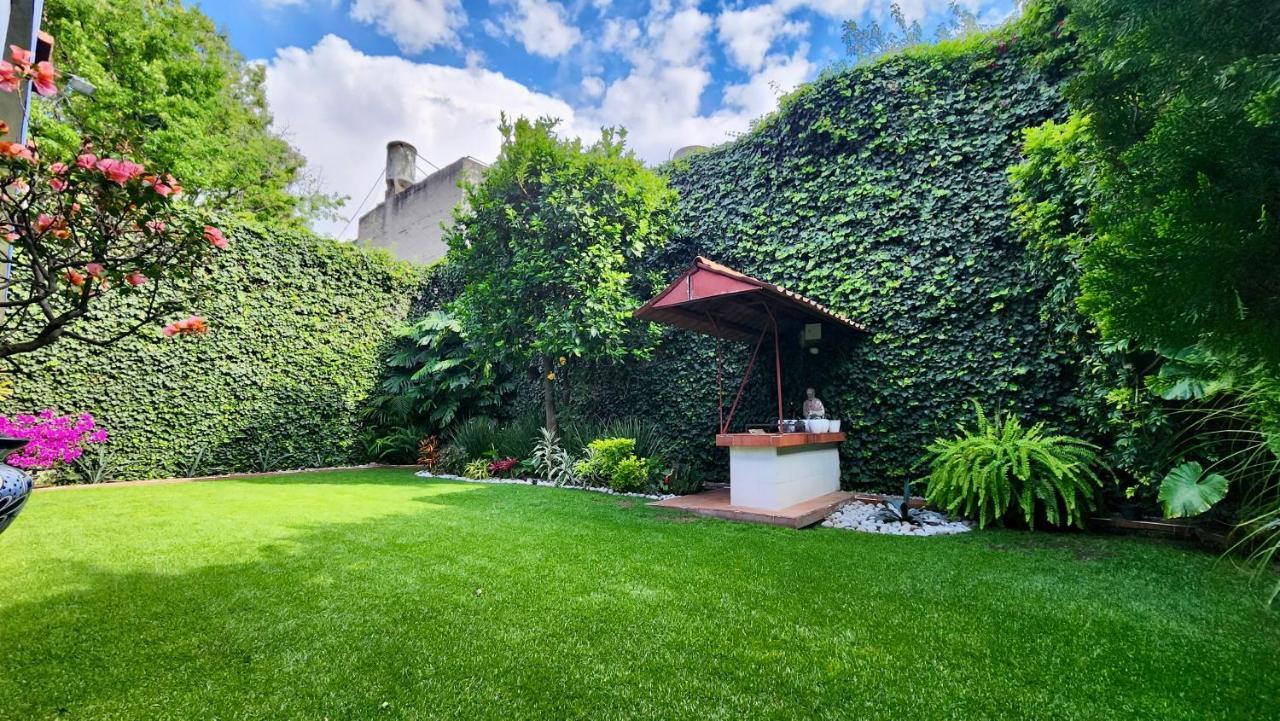 Casa Tamayo مدينة مكسيكو المظهر الخارجي الصورة
